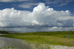 Photograph of Sanibel Island Roosevelt Channel